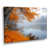 Toile tendue