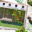 Bruun Metal Garden Bed Set-1176797625