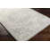 Machine Woven Oriental Area Rug