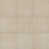 Elegant Beige
