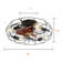 Industrial Style 20 Inch Ceiling Fan With Matte Black 6 Speed Wind E26 Remote Control Reversible Dc Motor For Bedroom
