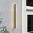 LED Outdoor Dimmable Wall Light