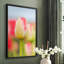 «Twotone Tulip», reproduction encadrée - bois massif-1089964924-1089964927