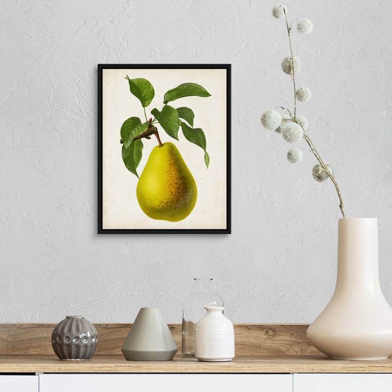 Antique Fruit VII - reproduction d'art sur toile, H 15,7 po x l 12,7 po x P 1,75 po, Cadre flottant noir