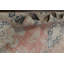 Muted Distressed  Traditional Area Rug 10x13