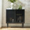 Armoire d'appoint 2 portes l 31,5 po avec éclairage DEL Fabion