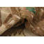 Earley One-of-a-Kind 4' X 6'3" New Age Wool Area Rug in Brown