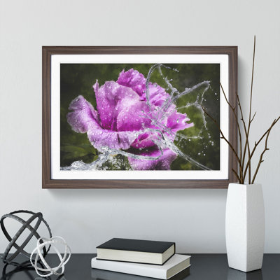 Purple Peony Flower Vol.2 - Framed Print