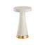Puttick Stone Pedestal End Table