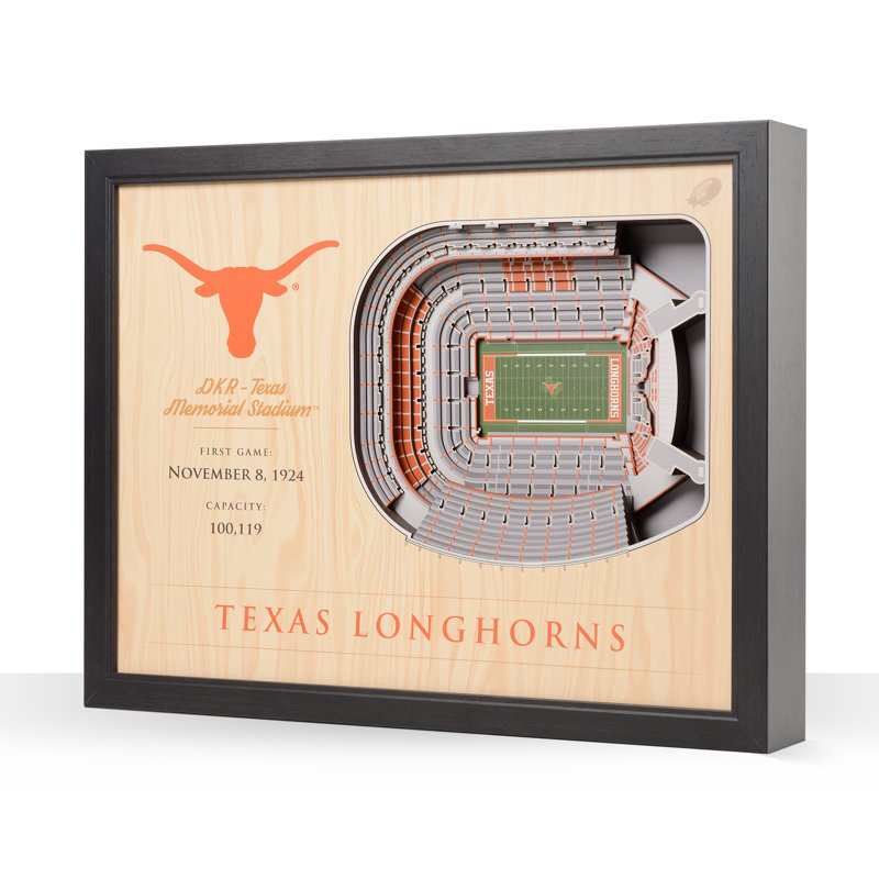 Traditional Entertainment Wall Decor, Texas Longhorns