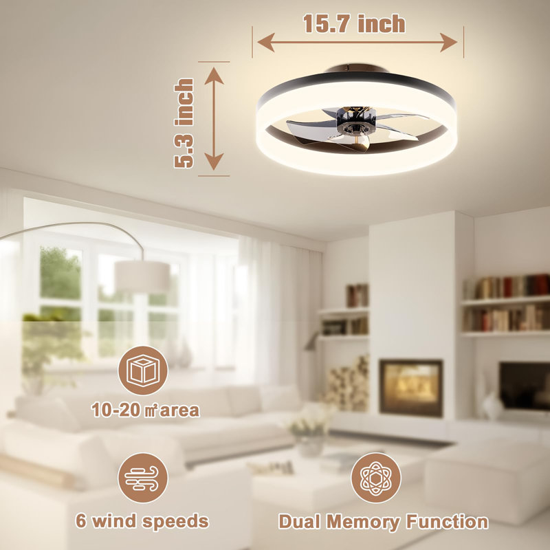 15.7 inch Small Ceiling Fans with Lights and Remote, Black, Black