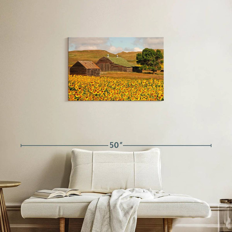 Champ de tournesols Alvord, H 20 po x l 30 po