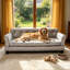 Canapé pour chien-96380727