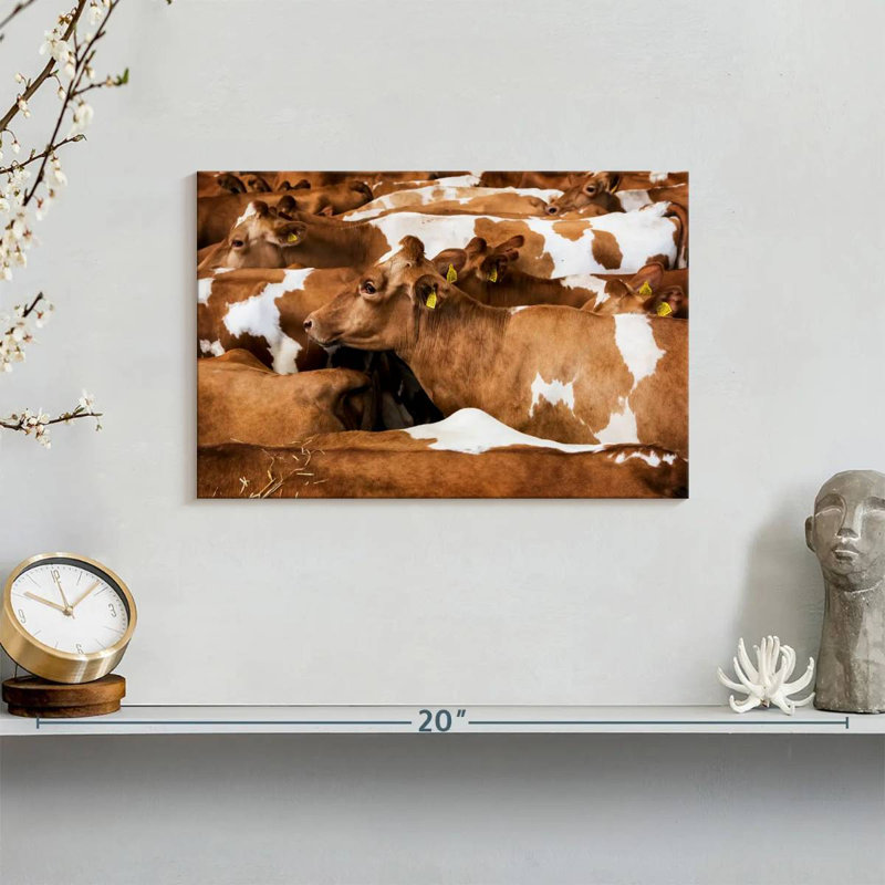 Brampt Guernsey Cows, 8" H x 12" W