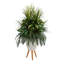 54 po plante verte en pot