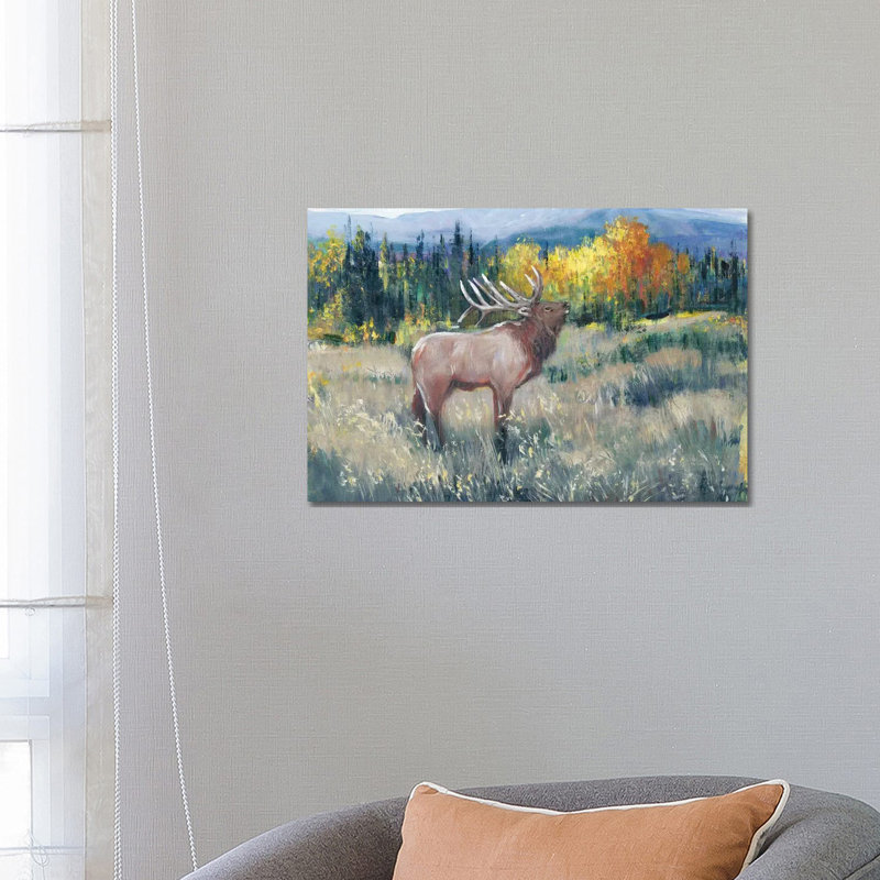 Rocky Mountain Elk II by Tim OToole - Wrapped Canvas Painting, 66.04 cm H x 45.72 cm W