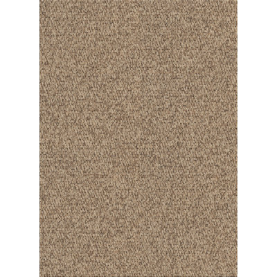 Indoor Rug