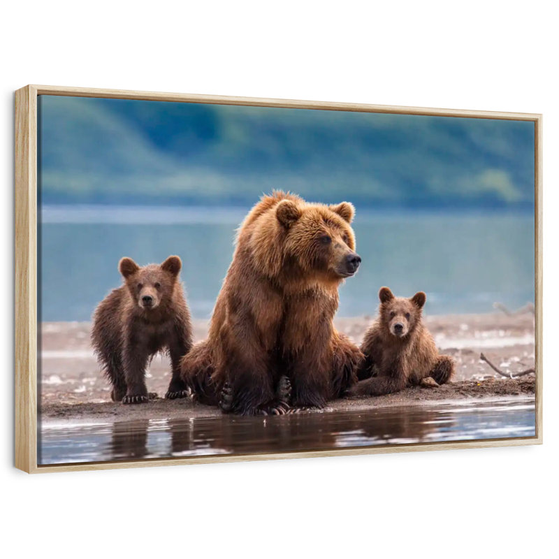 Famille d'ours Kamthatka, Cadre flottant en bois naturel, 19 po x 13 po