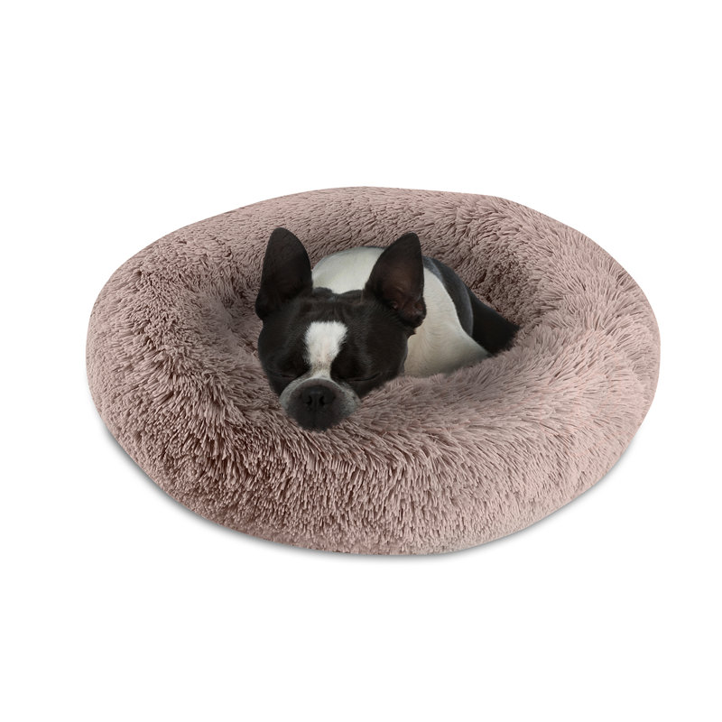 Coupland Orthopedic Polyester Pet Bed, Small (8" H x 22" W x 22" D), Blush