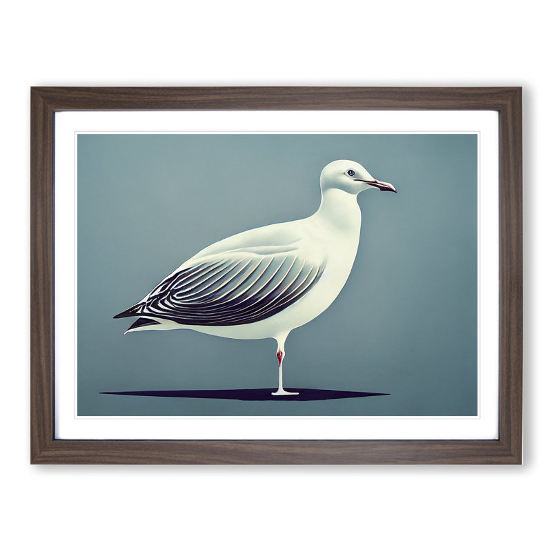 Seagull Portrait Vol.2 - Framed Print, 46cm H x 64cm W x 2cm D, Walnut 