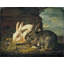 «Two Rabbits» par David De Coninck - Art mural sur toile tendue avec châssis-2102446179