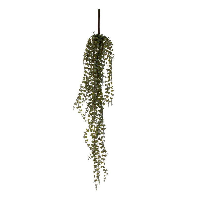 28 plantes