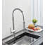 Belfry Kitchen Alasdair Pull Out Kitchen Faucet with Soap Dispenser