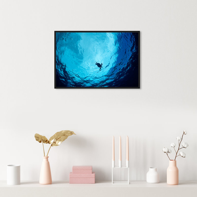 «Blue Green Sea Turtle», reproduction de photo sur toile, H 24 po x l 36 po, Cadre noir
