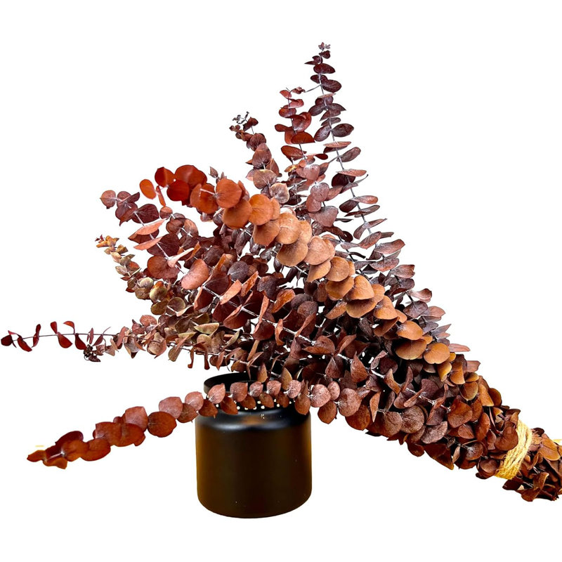 20pcs Dried Eucalyptus Stems Orange Fall Decor