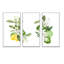 Bouquets de branches de citronnier en fleurs - Peinture sur toile 3 pièces-1974882782-1974882778