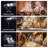 Double-Head Rotating Snowflakes Projector Lights