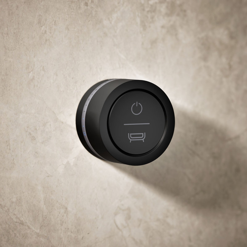 DTV Mode Deck-Mount Bath Filler Digital Interface, Matte Black, Wall-Mount