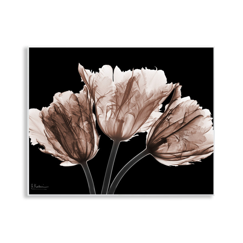 «Crisp Tulips on Black», art mural par Albert Koetsier
