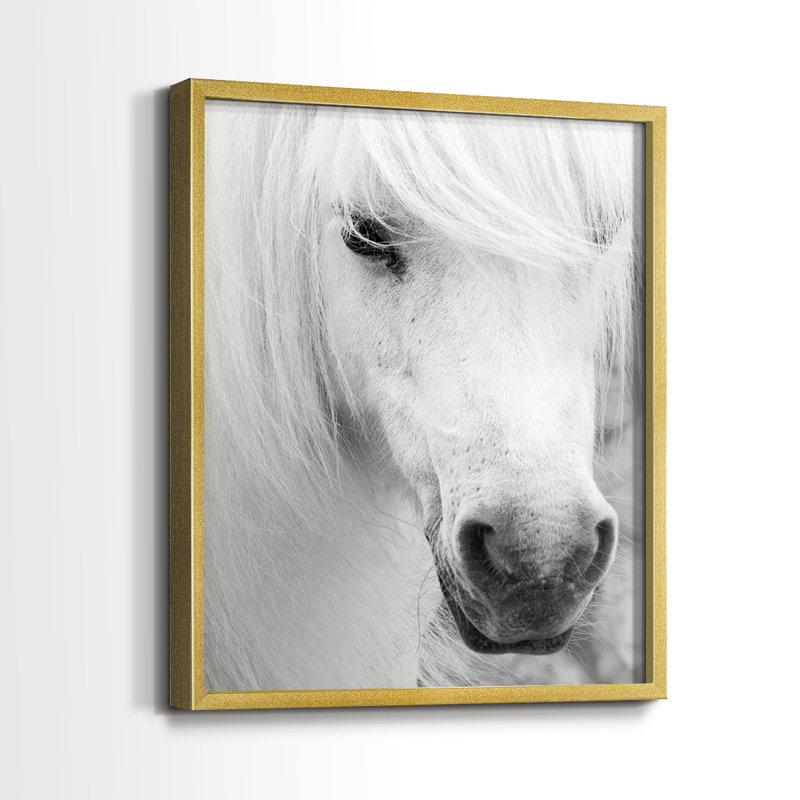 «Island Pony I», reproduction encadrée de qualité supérieure - prête à être accrochée - aucun clou requis - aucun clou requis