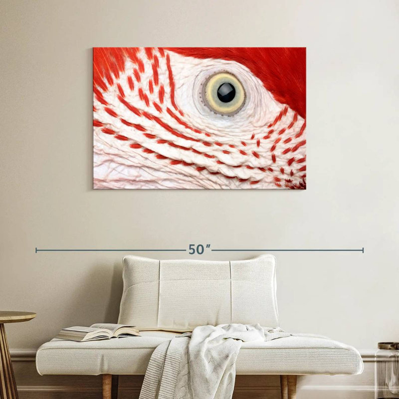 Oeil de perroquet Ara Brampt, H 26 po x l 39 po