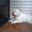 Charge Non-Slip Indoor / Outdoor Doormat