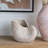 11.5X6.7X7.7" Sand And Cement Nautilus Shell Planter With Textured Beige Finish-1199695490