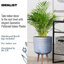 Geometric Patterned Cylinder Planter with Feet-350652353-350652381