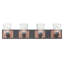 Jackson 4-Light Dimmable Vanity Light-833348113
