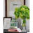 Tall Green Real Touch Hydrangeas In Vase