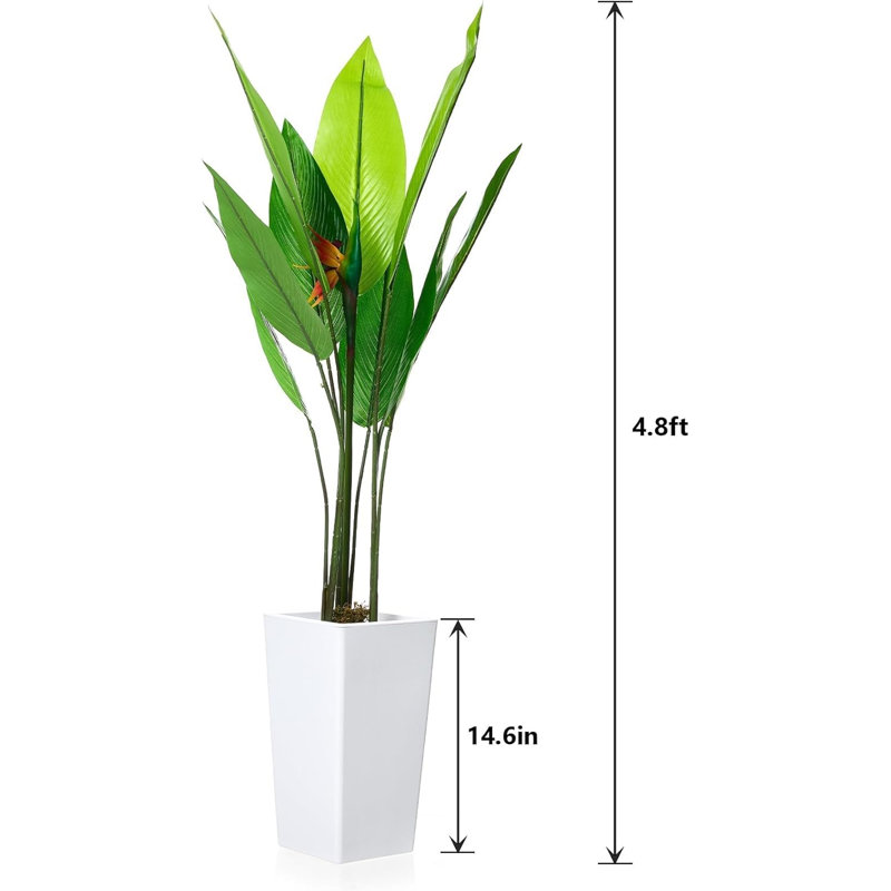147cm Plant