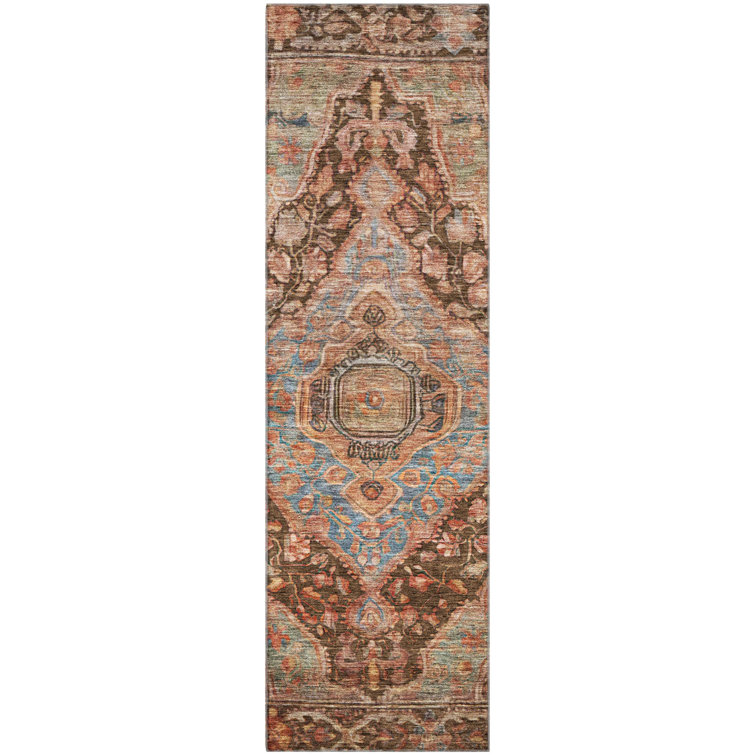 Premium Machine Washable Lucchesi AMF1761 Border Rug