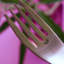 Harvest 20 Piece Flatware Set, Service for 4