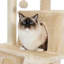 Arbre à chat 34 po-957216903