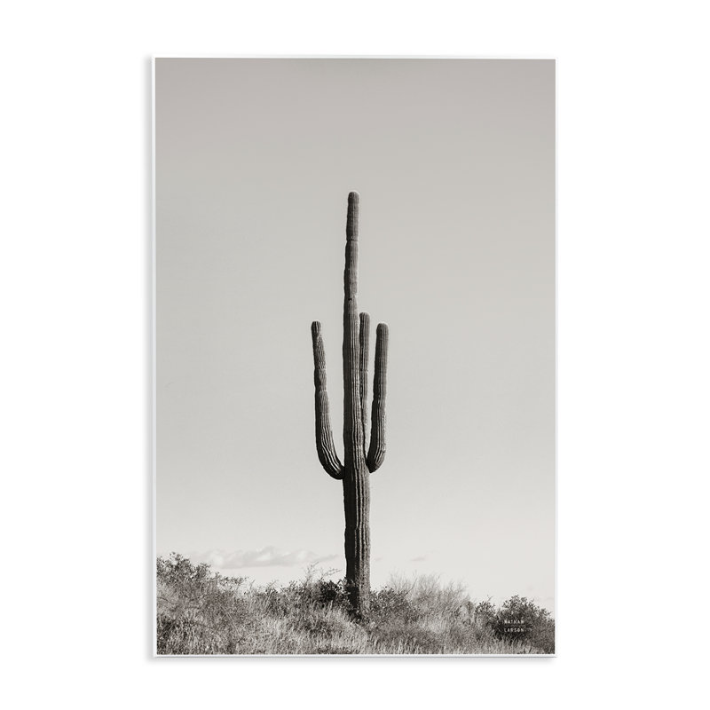  Art sur plaque de cactus transparent par Nathan Larson, H 19 po x l 13 po