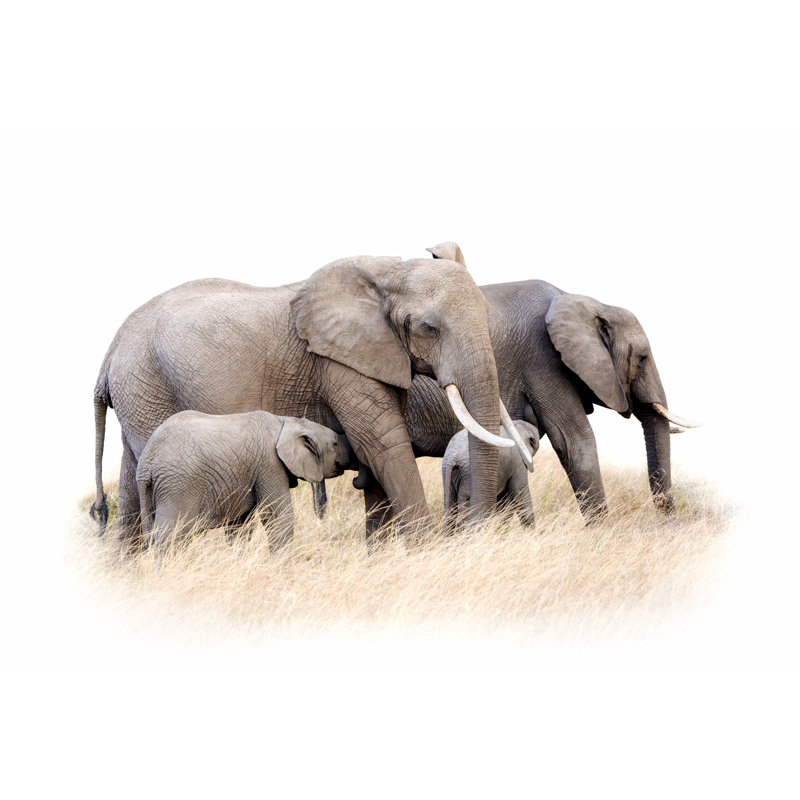 Wickes African Elephant Group Isolated - Wrapped Canvas Print, 20cm H x 30cm W x 3.8cm D