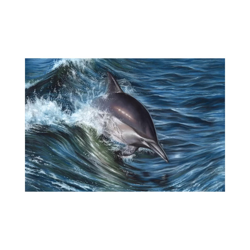 Dolphin by Richard Macwee - Wrapped Canvas Print, 20.32 cm H x 30.48 cm W