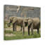 No Frame Print on Canvas