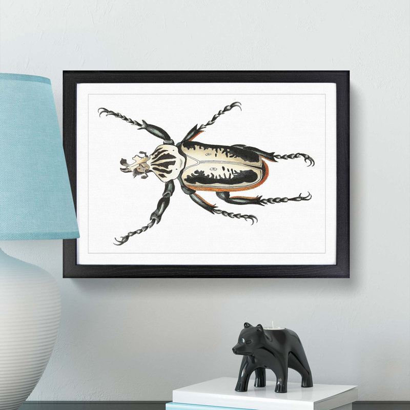 Goliath Beetle by George Shaw - Picture Frame Painting Print, 36cm H x 48cm W x 2cm D, Black Framed