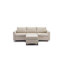 Modern Sofa 3 Seat Module Sectional Sofa Couch With 1 Ottoman For ,Seat Cushion And Back Cushion Non-Removable And Non-Washable